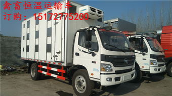 弘力专用汽车 散装饲料车与生猪运输车行业新动态解析